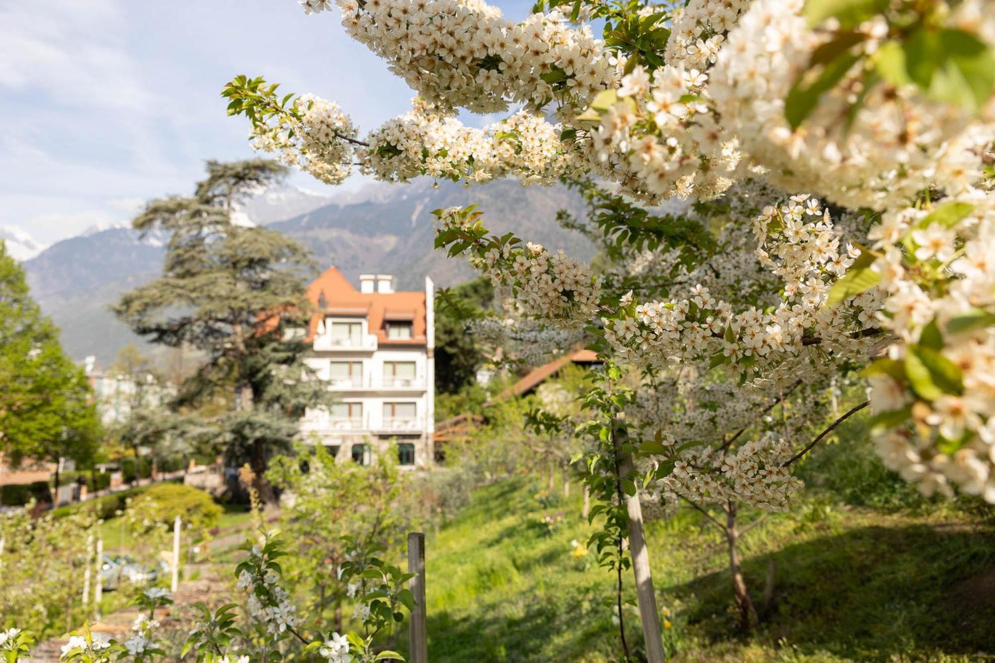Apartment Ladurnerhof Boutique *